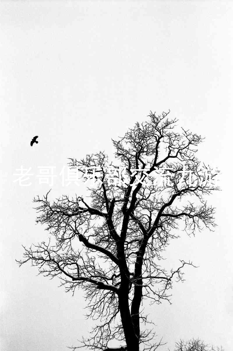 老哥俱乐部交流九游